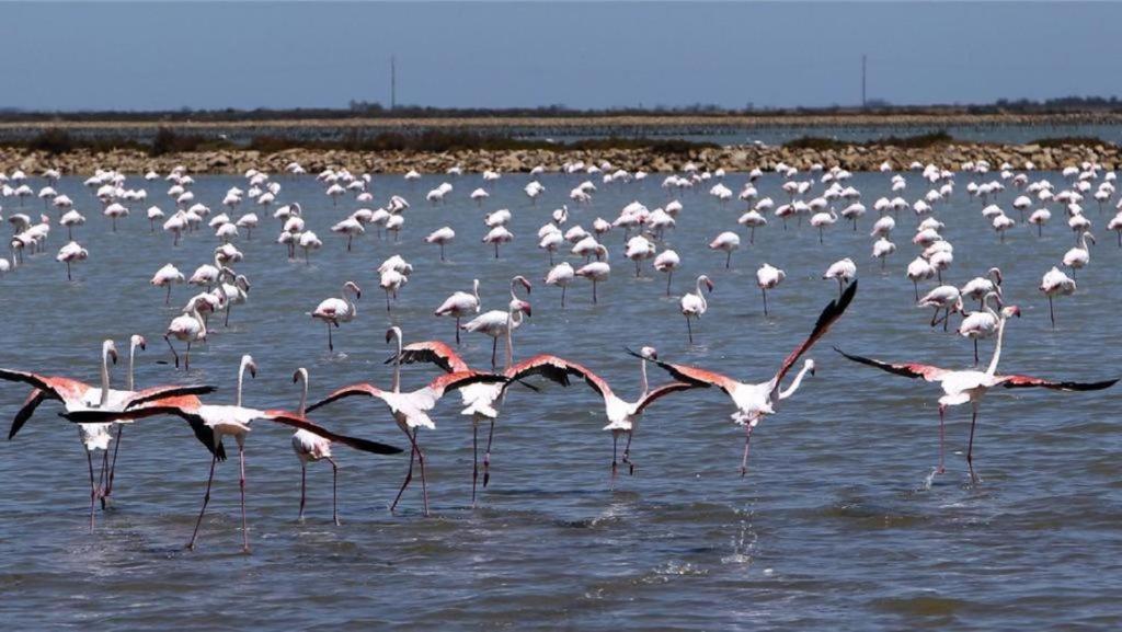 L'Etoile De Mer Sète Buitenkant foto